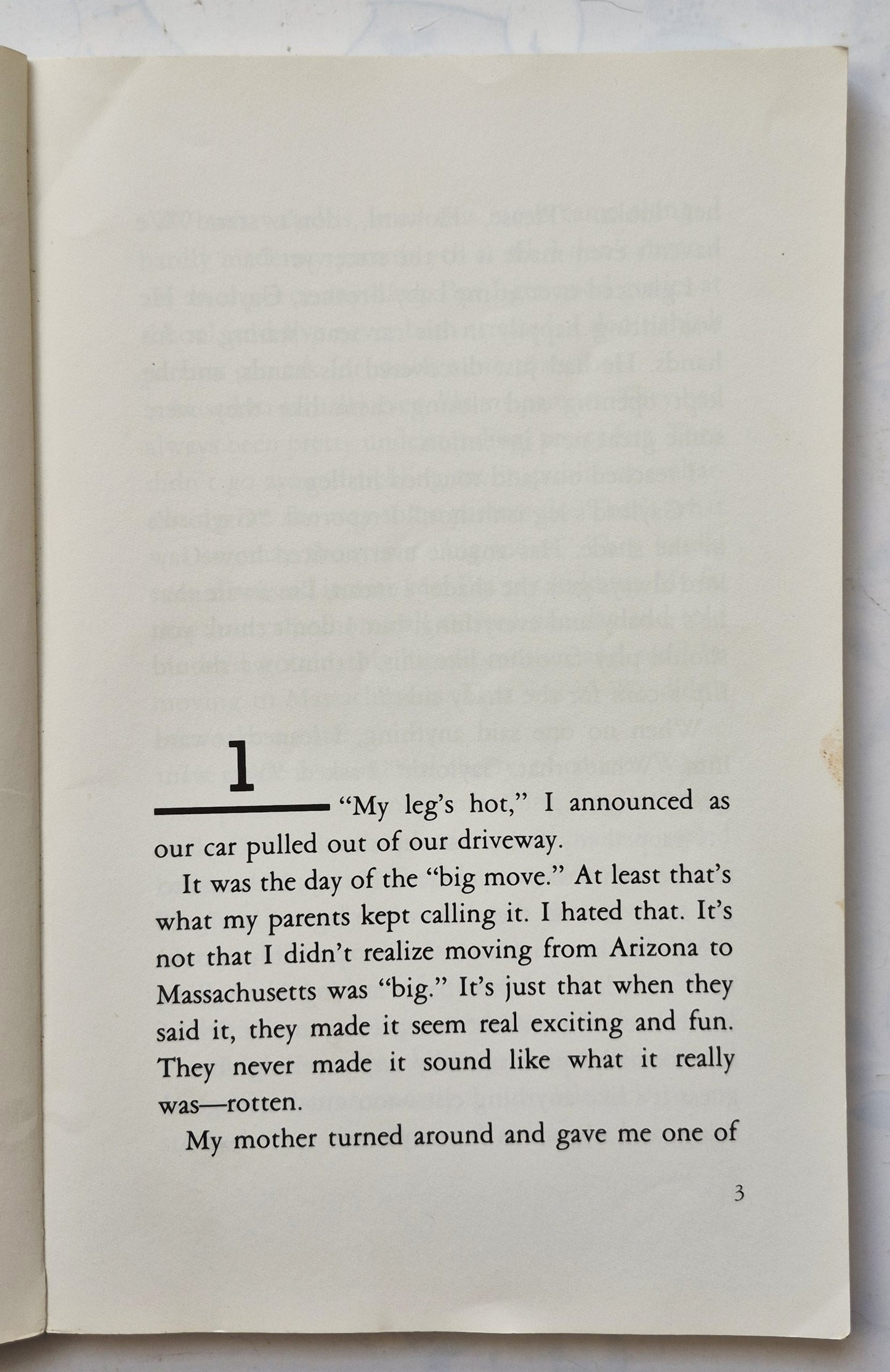 The Kid in the Red Jacket by Barbara Park (Good, 1991, Pbk, 113 pgs, Houghton Mifflin)