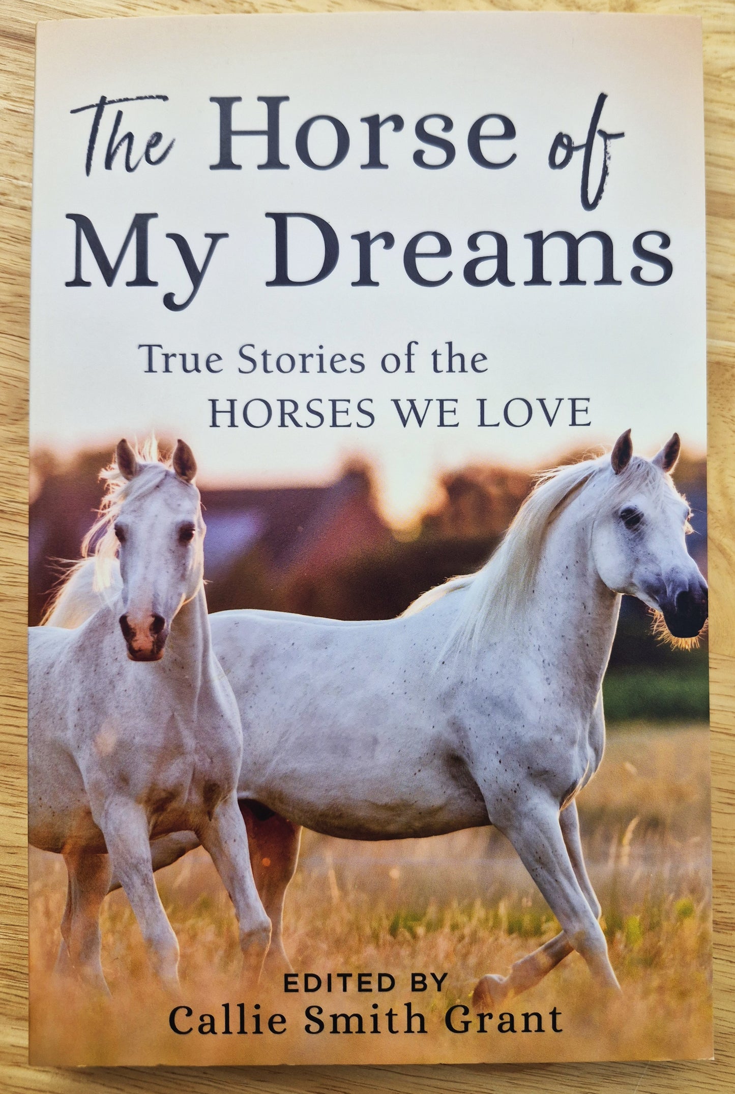The Horse of My Dreams: True Stories of the Horses We Love por Callie Smith Grant (Nuevo, 2019, Rústica, 224 páginas, Revell)