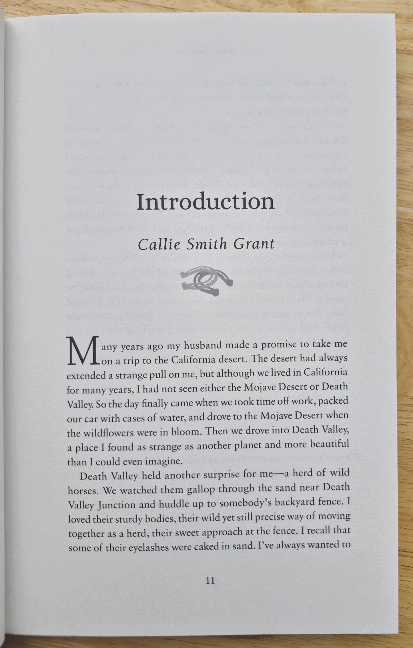 The Horse of My Dreams: True Stories of the Horses We Love por Callie Smith Grant (Nuevo, 2019, Rústica, 224 páginas, Revell)