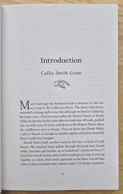 The Horse of My Dreams: True Stories of the Horses We Love por Callie Smith Grant (Nuevo, 2019, Rústica, 224 páginas, Revell)