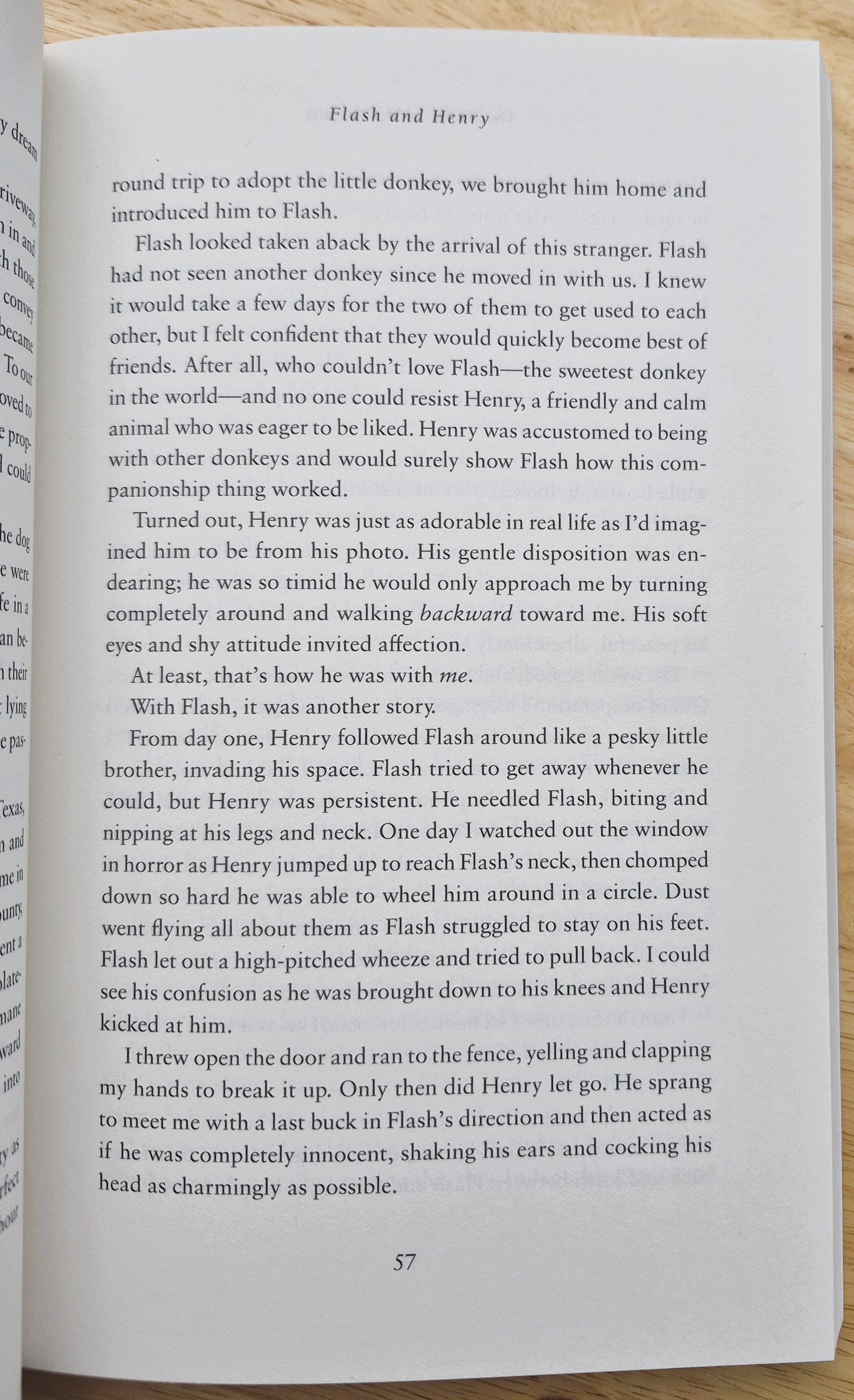 The Horse of My Dreams: True Stories of the Horses We Love por Callie Smith Grant (Nuevo, 2019, Rústica, 224 páginas, Revell)
