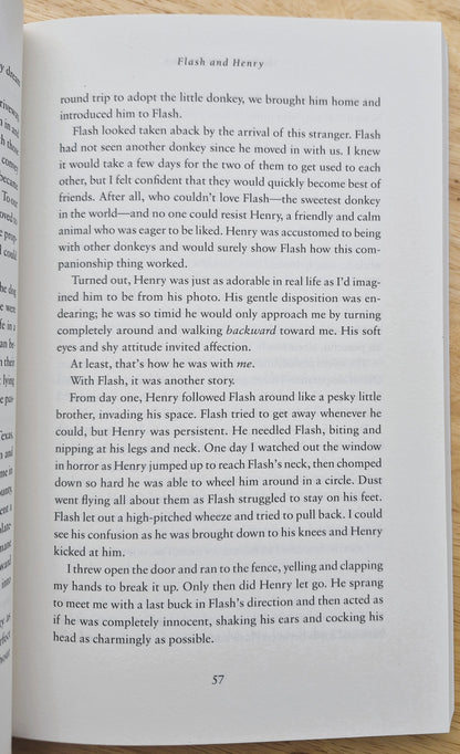 The Horse of My Dreams: True Stories of the Horses We Love por Callie Smith Grant (Nuevo, 2019, Rústica, 224 páginas, Revell)