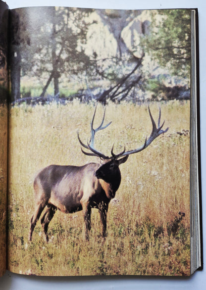 The Treasury of Hunting by Larry Koller (Good, 1965, HC, 251 pgs, Odyssey Press)