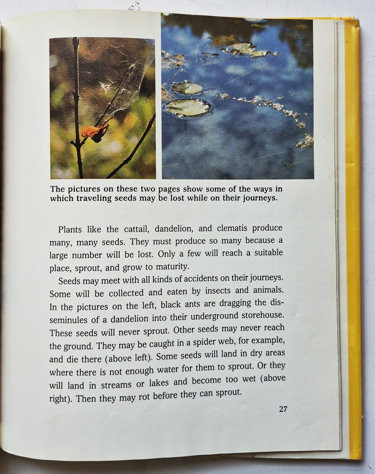 How Seeds Travel by Cynthia Overbeck; Shabo Hani (Very good, 1982, HC, 48 pgs, Lerner Pub. Co.)