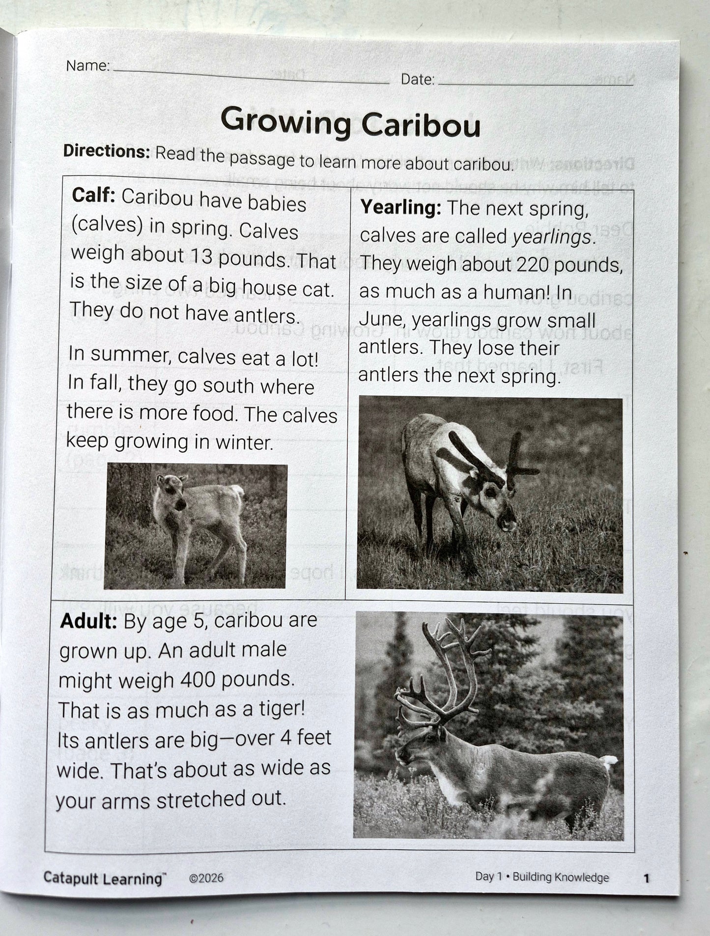 Wildlife Wonders Summer Journey Student Resource Book (New, 2026, Pbk, 53 pgs, Catapult Learning)