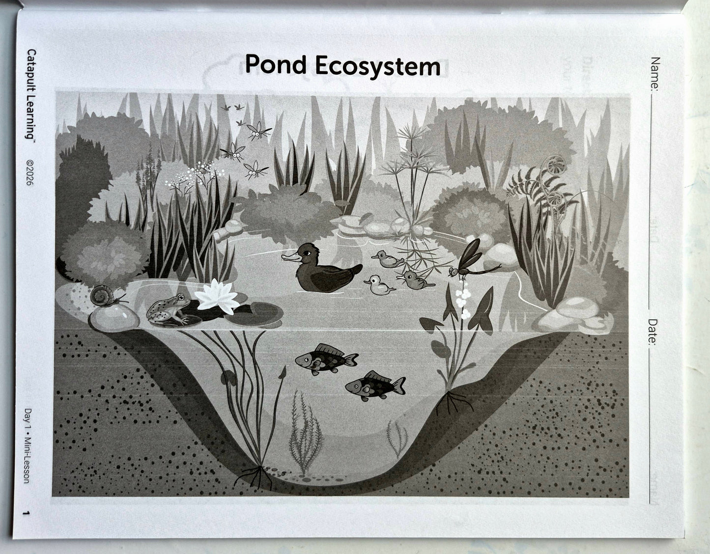 Eco Explorers Summer Journey Student Resource Book (New, 2026, Pbk, 49 pgs, Catapult Learning)