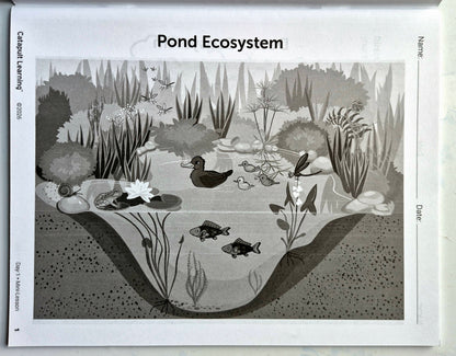 Eco Explorers Summer Journey Student Resource Book (New, 2026, Pbk, 49 pgs, Catapult Learning)