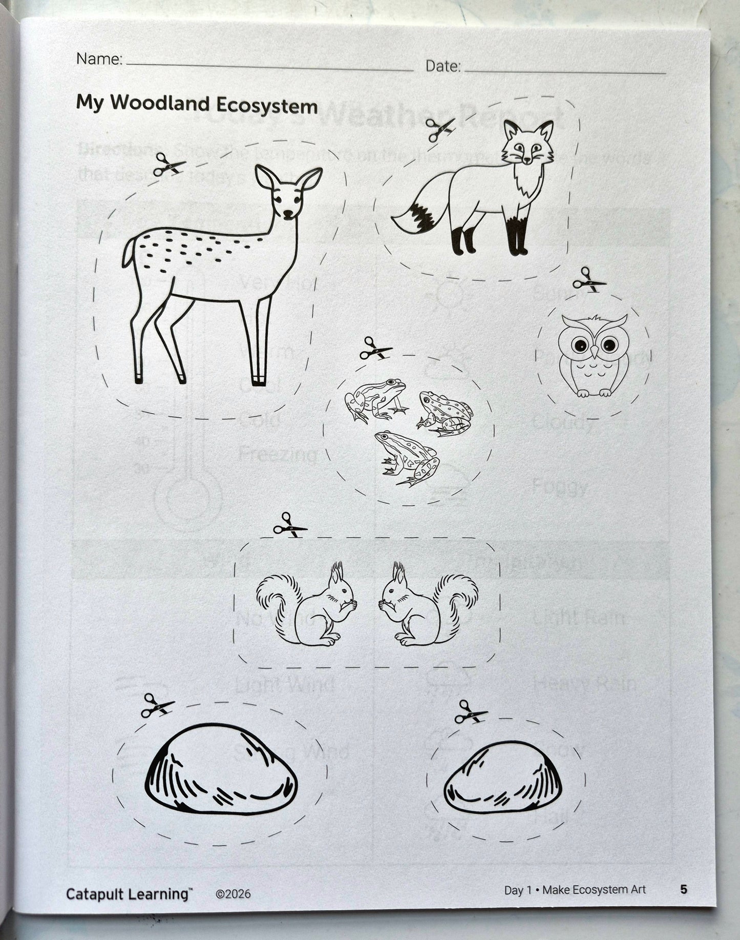 Eco Explorers Summer Journey Student Resource Book (New, 2026, Pbk, 49 pgs, Catapult Learning)