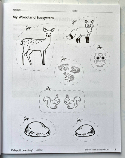 Eco Explorers Summer Journey Student Resource Book (New, 2026, Pbk, 49 pgs, Catapult Learning)