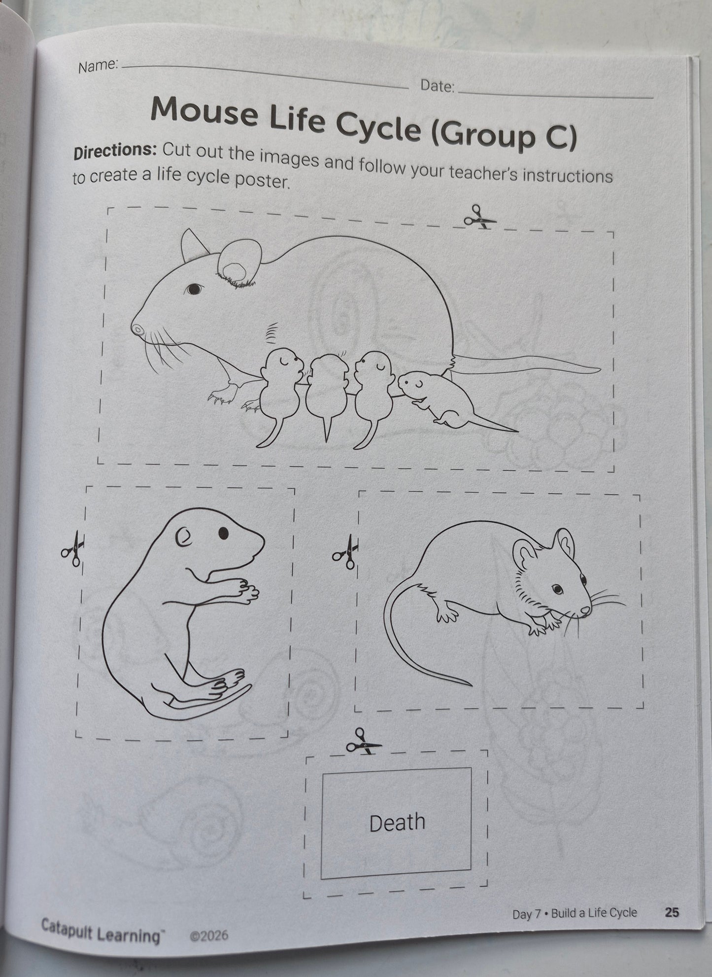 Eco Explorers Summer Journey Student Resource Book (New, 2026, Pbk, 49 pgs, Catapult Learning)