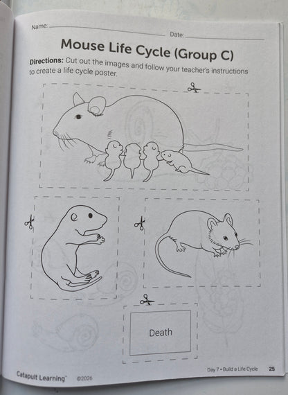 Eco Explorers Summer Journey Student Resource Book (New, 2026, Pbk, 49 pgs, Catapult Learning)