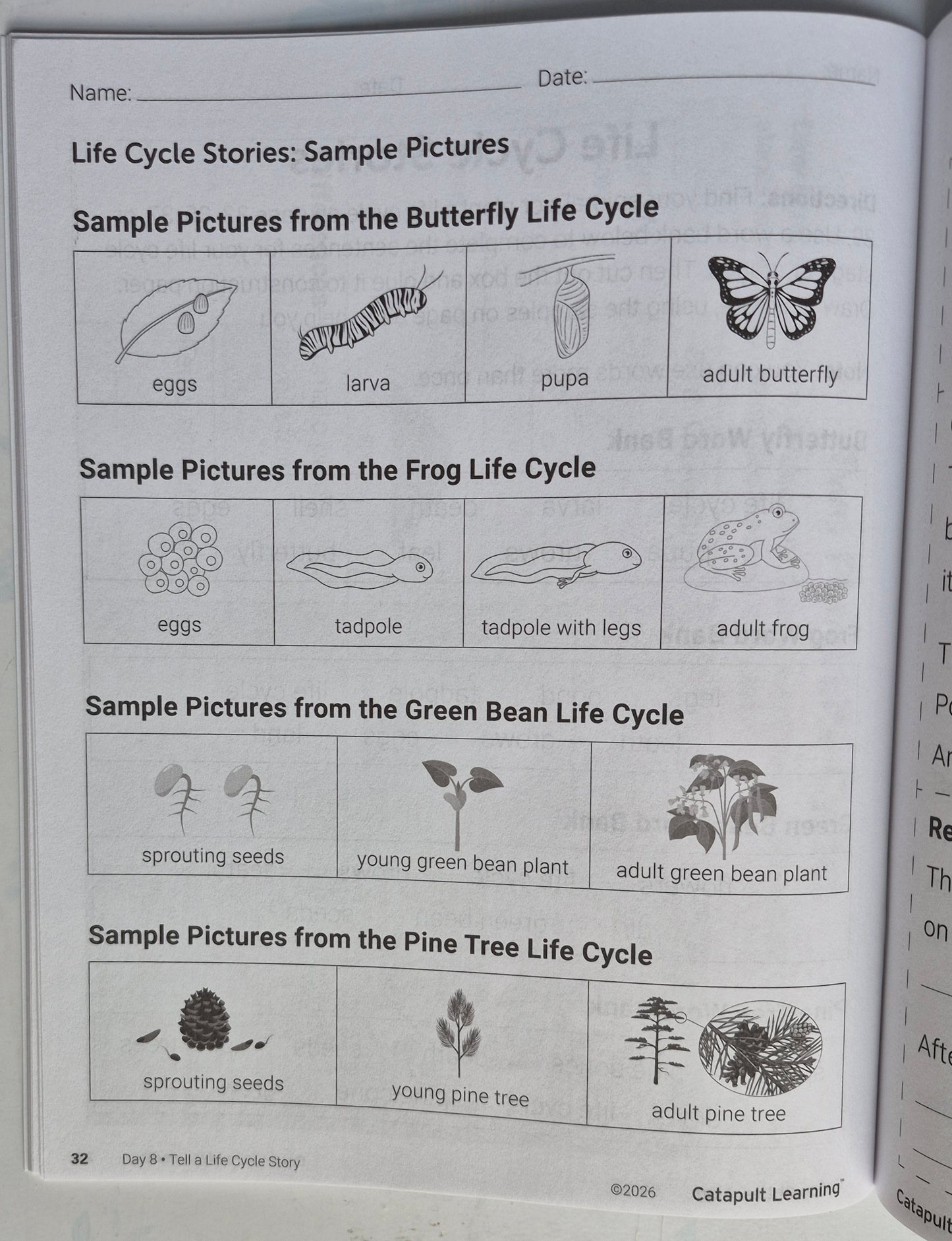 Eco Explorers Summer Journey Student Resource Book (New, 2026, Pbk, 49 pgs, Catapult Learning)