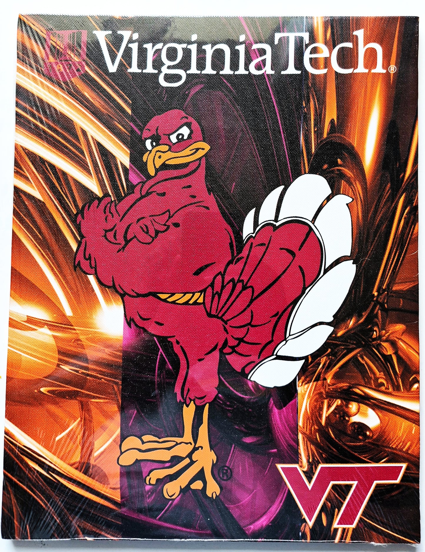 Virginia Tech HokieBirds 11x14 Canvas Wall Hanging Sports Decor NEW