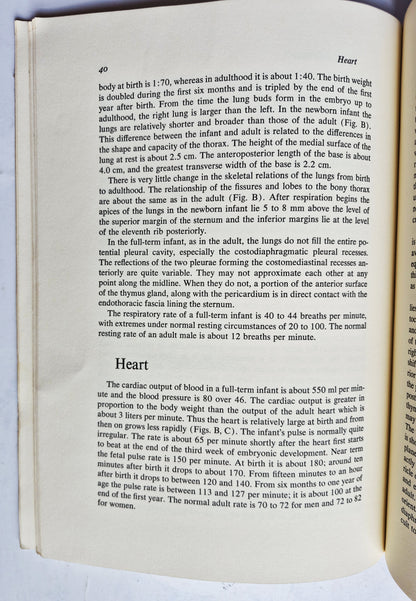 Die fünf Sprachen der Liebe für Kinder von Gary Chapman; Ross Campbell (Gut, 2005, Pbk, 212 Seiten, Northfield)