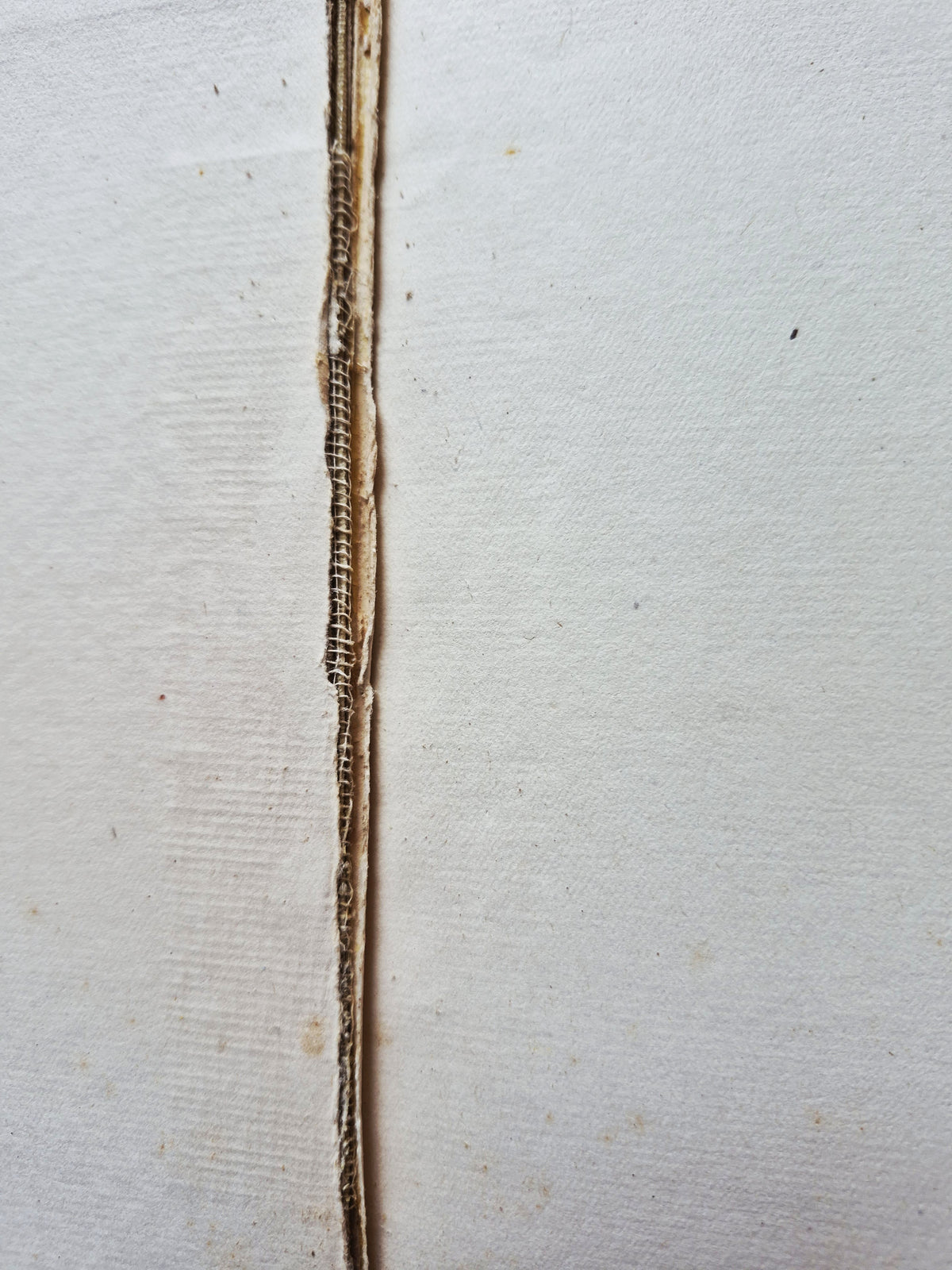 Cecilia by F. Marion Crawford (Good, 1904, HC, 421 pgs, The Macmillan Co.)