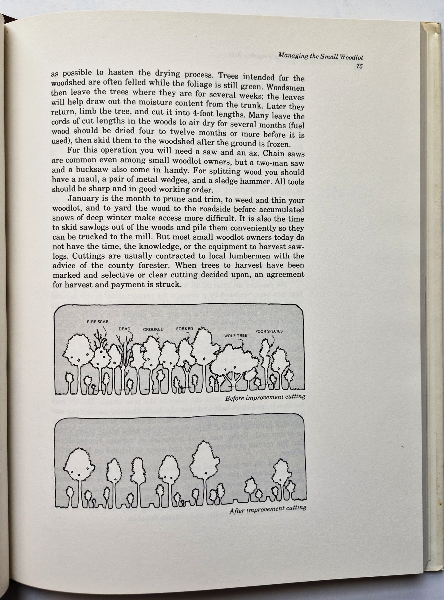 The Yankee Magazine Book of Forgotten Arts by R.M. Bacon (Very good, 1978, HC, 219 pgs, Simon & Schuster)