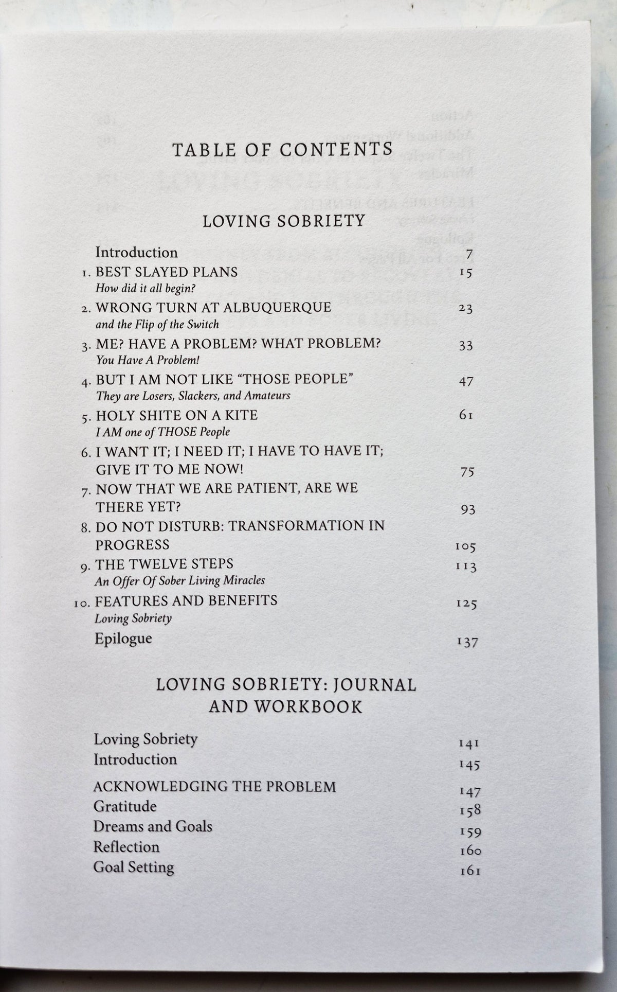 Loving Sobriety 2x2: Memoir/Guide/Workbook/Journal by R.J. Boots (Very Good, 2024, Pbk, 243 pgs)
