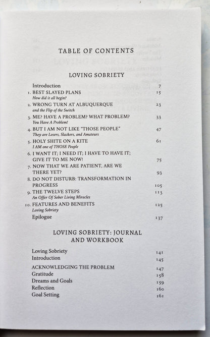 Loving Sobriety 2x2: Memoir/Guide/Workbook/Journal by R.J. Boots (Very Good, 2024, Pbk, 243 pgs)