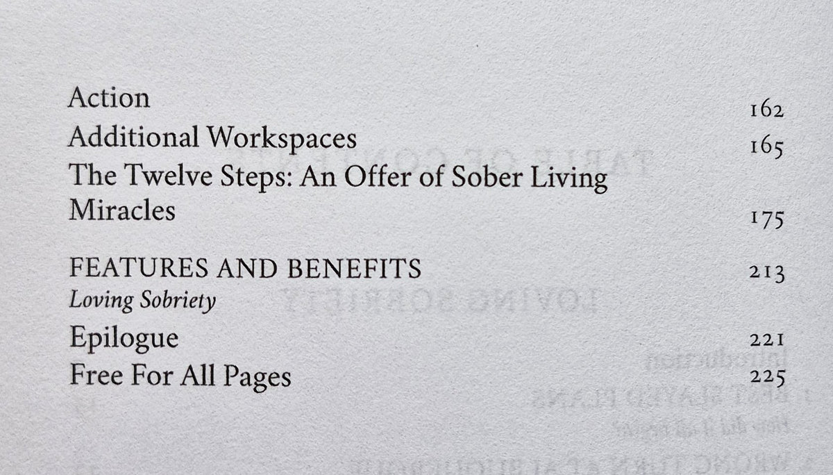 Loving Sobriety 2x2: Memoir/Guide/Workbook/Journal by R.J. Boots (Very Good, 2024, Pbk, 243 pgs)