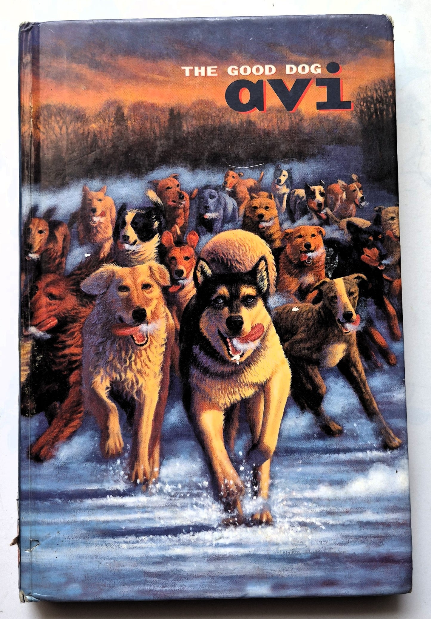 The Good Dog by Avi (Good, 2002, HC, 243 pgs, Scholastic)