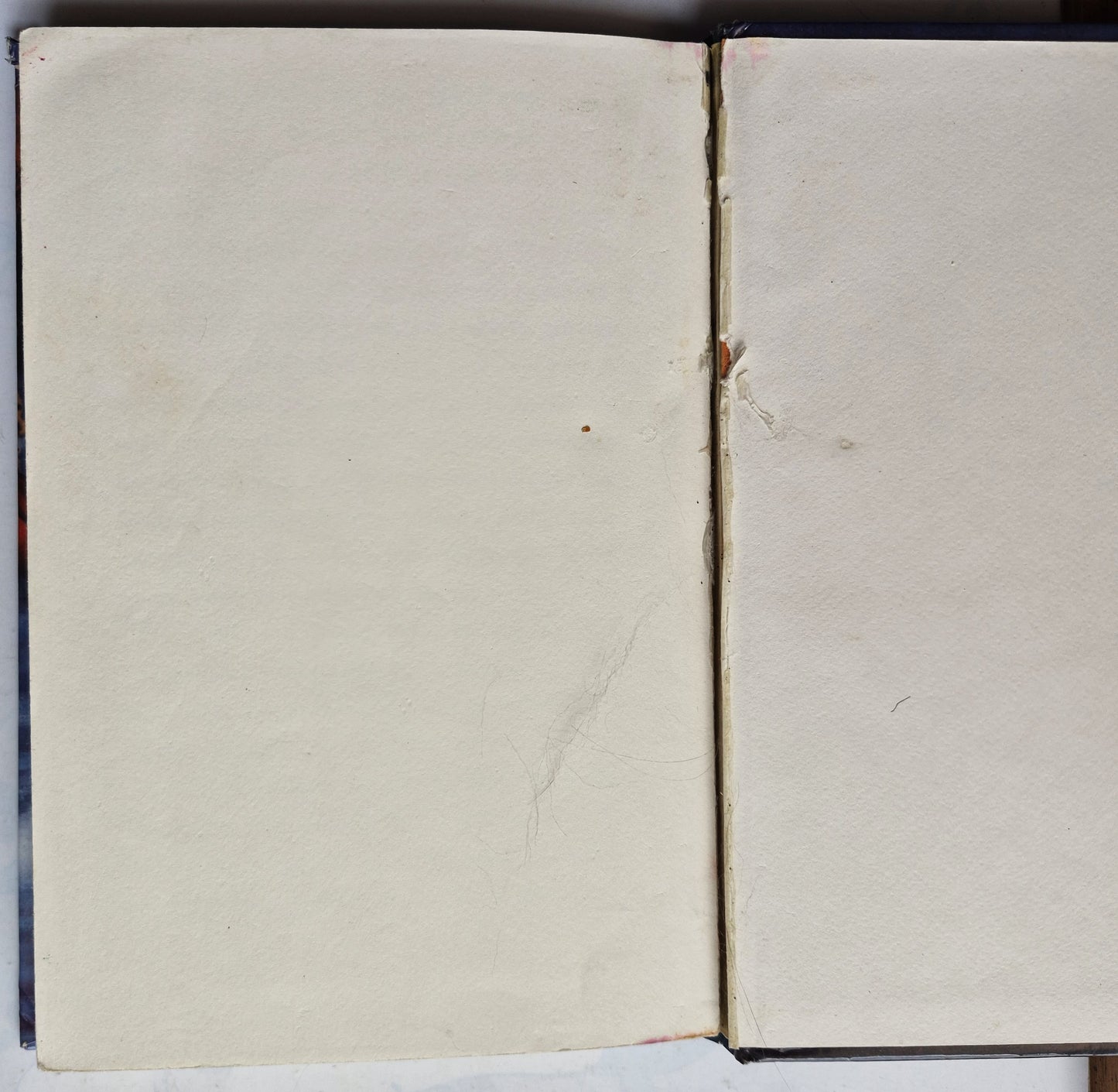 The Good Dog by Avi (Good, 2002, HC, 243 pgs, Scholastic)