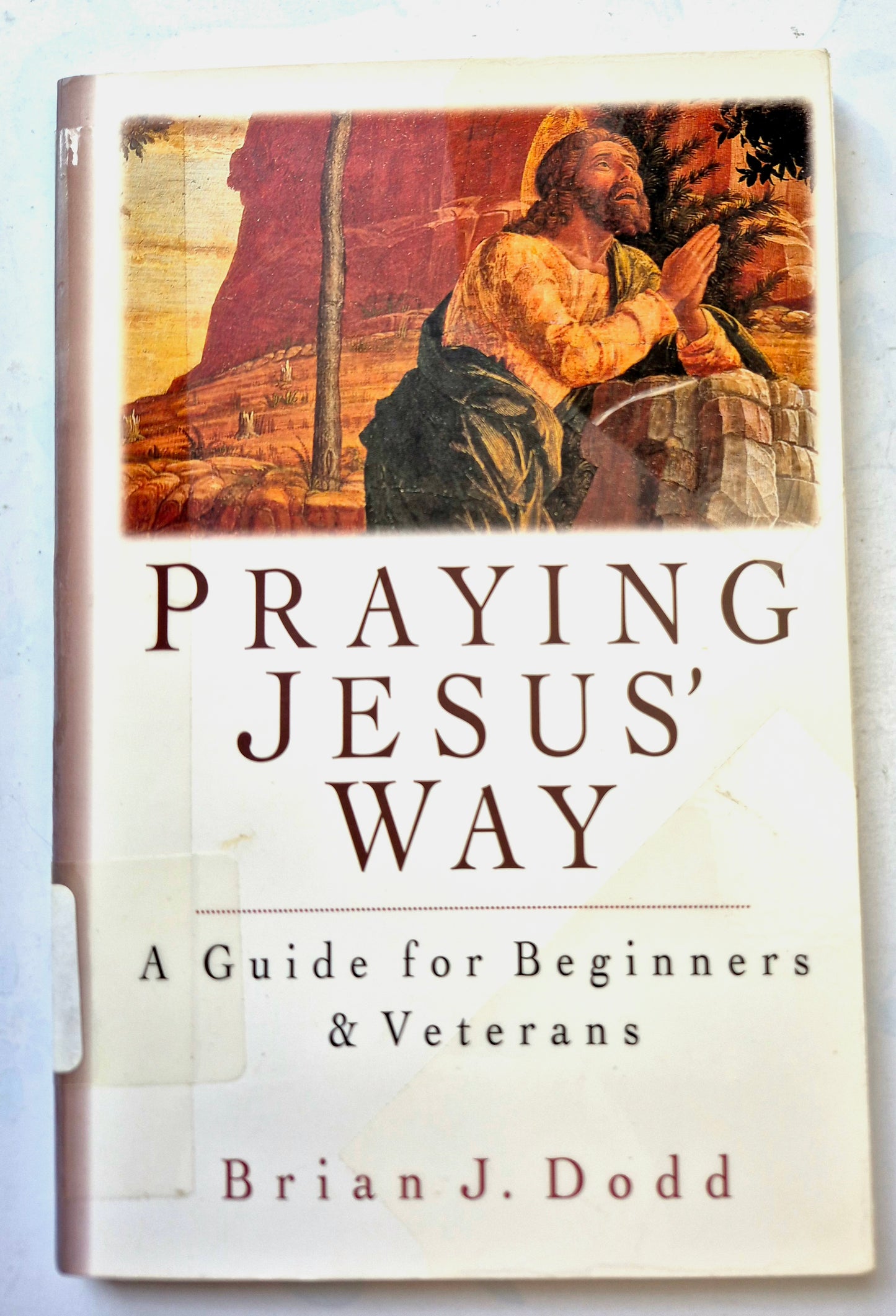 Praying Jesus' Way: A Guide for Beginners & Veterans by Brian J. Dodd (Very Good, 1997, Pbk, 129 pgs, InterVarsity Press)