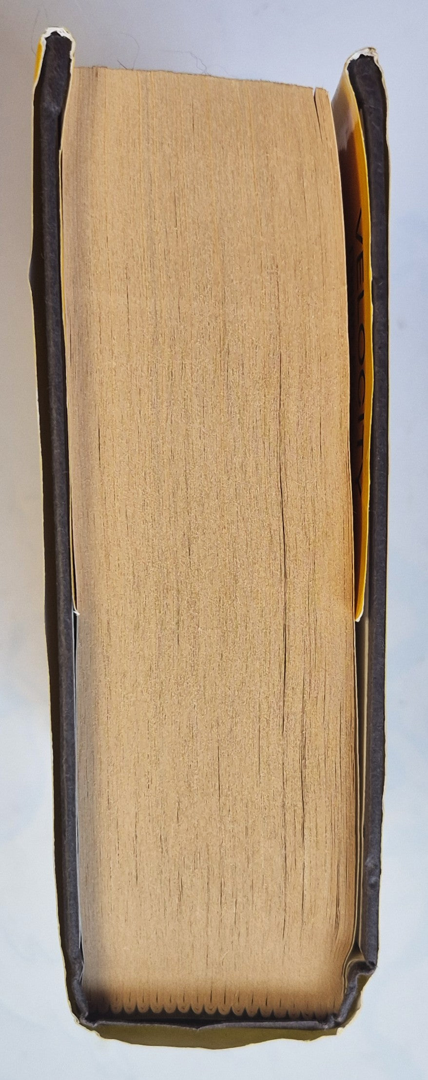 Pestañas majestuosas para Biblia con borde iridiscente (Nuevas, 2015, Ellie Claire Gift & Paper Expressions)