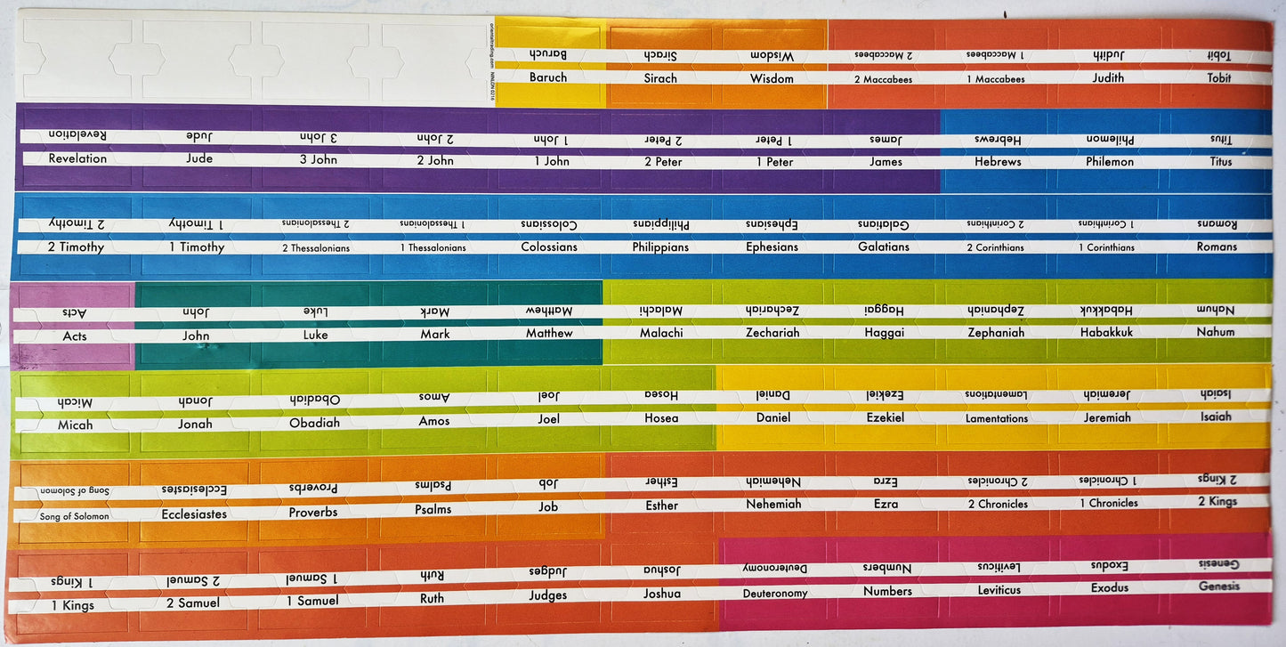 Pestañas majestuosas para Biblia con borde iridiscente (Nuevas, 2015, Ellie Claire Gift & Paper Expressions)