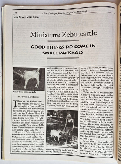 Juego de revistas Countryside & Small Stock Journal: Volumen 92 Núm. 1-4 enero-agosto (2008, Muy buen estado)