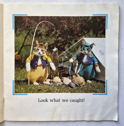 Cats You're Going to Love! Seasons by Suzanne Green (Acceptable, 1988, Pbk, Willowisp)