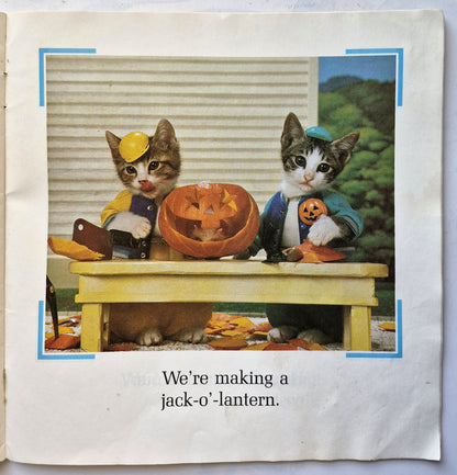 Cats You're Going to Love! Seasons by Suzanne Green (Acceptable, 1988, Pbk, Willowisp)