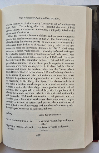 The Bible and Homosexual Practice Texts and Hermeneutics by Robert A. J. Gagnon (Very good, 2001, HC, 520 pgs, Abingdon Press)