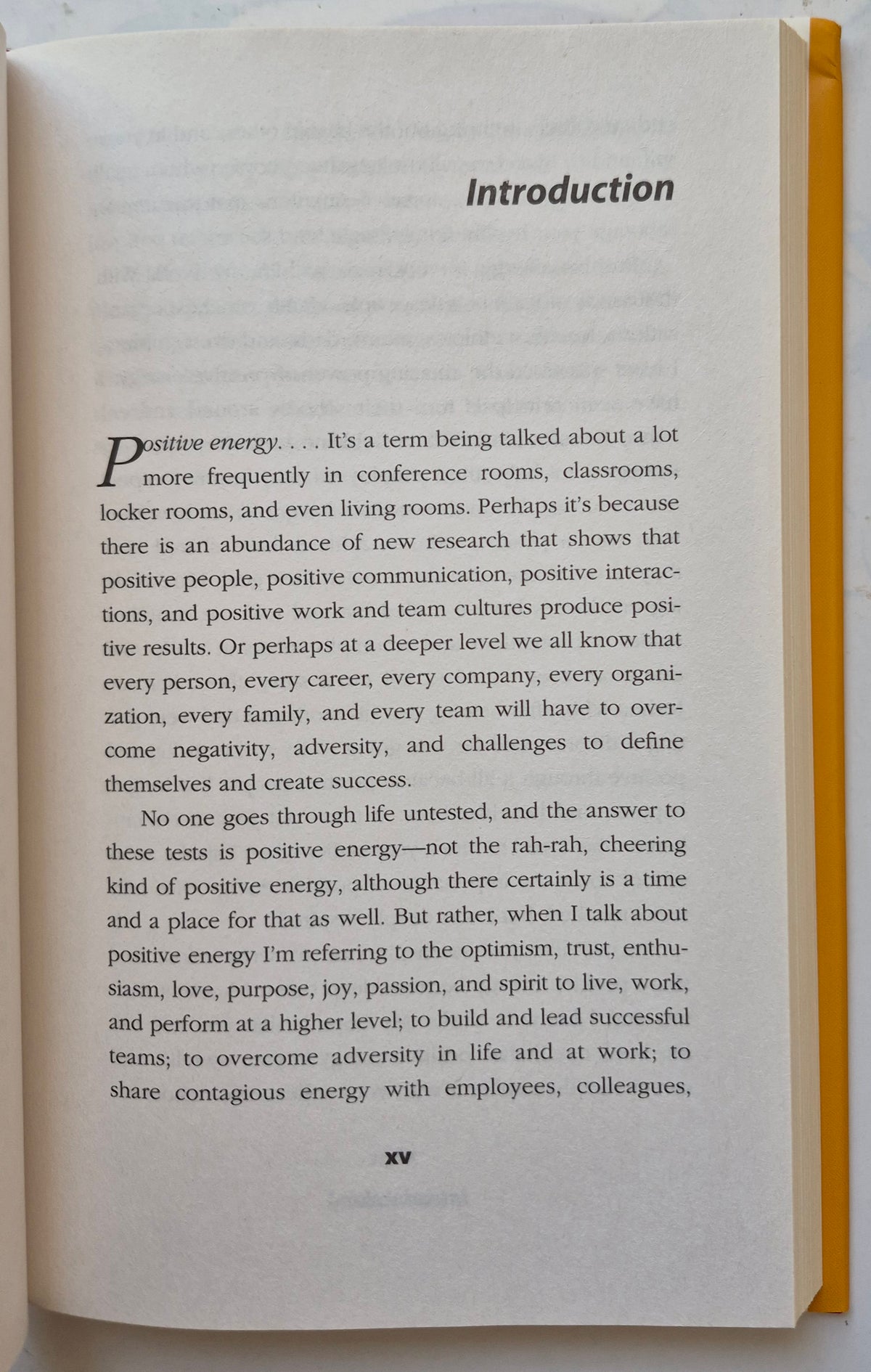 The Energy Bus: 10 Rules to Fuel Your Life, Work, and Team with Positive Energy by Jon Gordon (Like new, 2007, HC, 174 pgs, John Wiley & Sons)