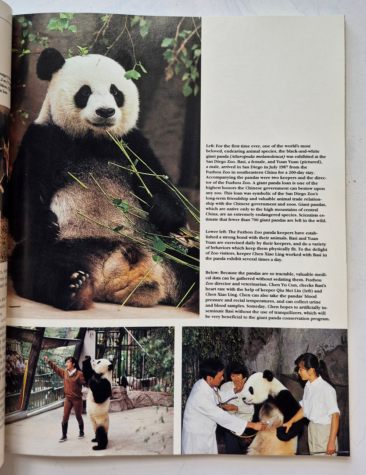 The San Diego Zoo 75th Birthday Edition by Bob Gray (Very good, 1990, Pbk, 136 pgs, Zoological Society of San Diego)