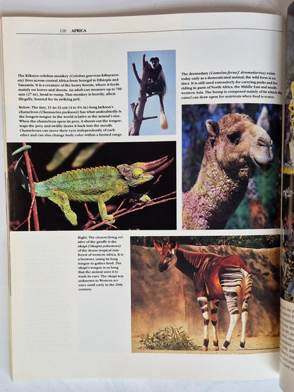 The San Diego Zoo 75th Birthday Edition by Bob Gray (Very good, 1990, Pbk, 136 pgs, Zoological Society of San Diego)