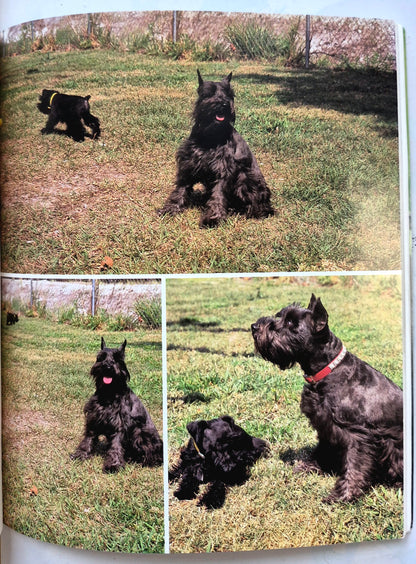 Schnauzers: A Complete Pet Owner's Manual by Fredric L. Frye (Very good, 1988, 80 pgs, Barron's)