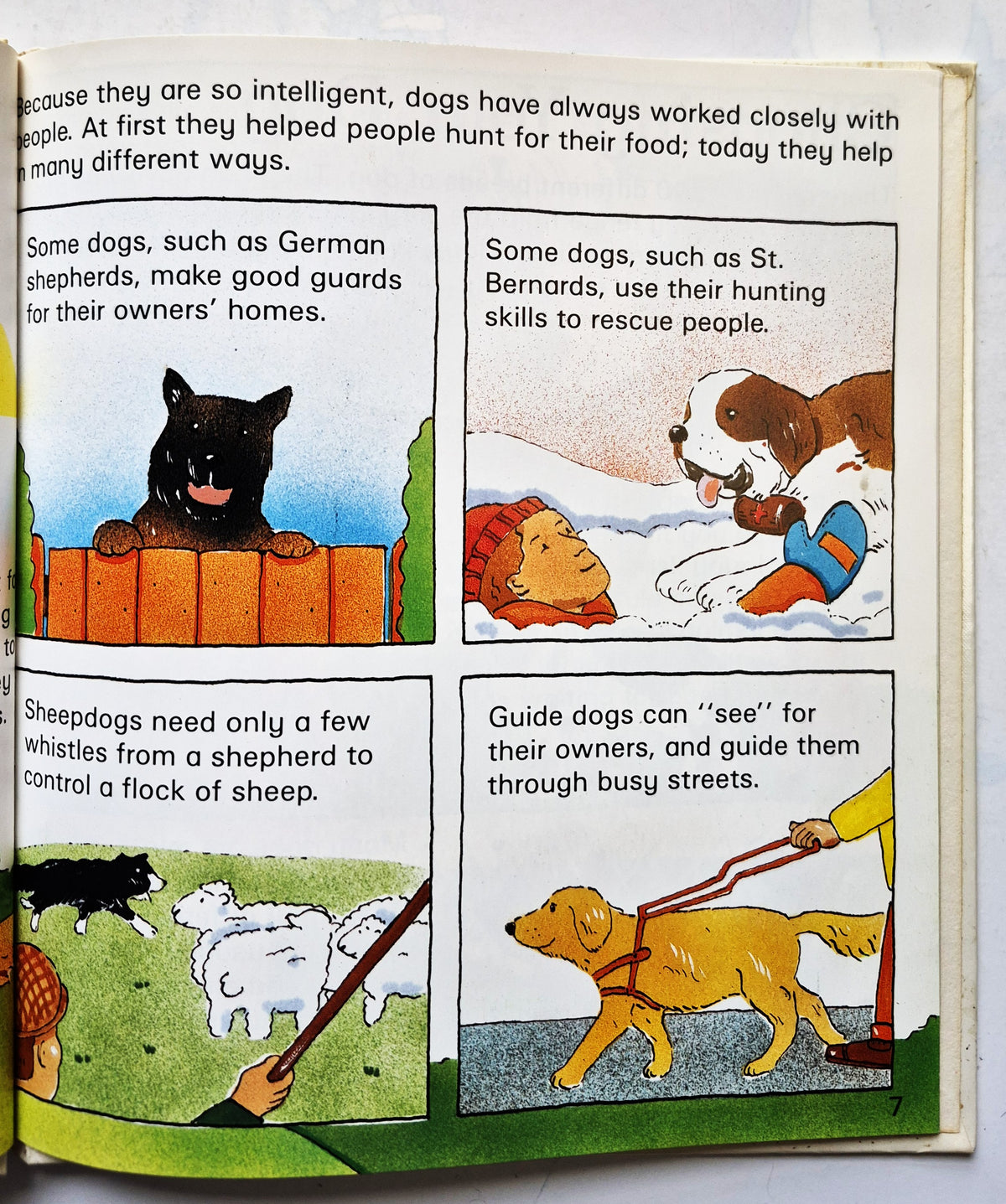 Dogs: A child's guide to caring for pets by Gerald and Julie Hawksley (Good, 1989, HC, 22 pgs, Children's Press)