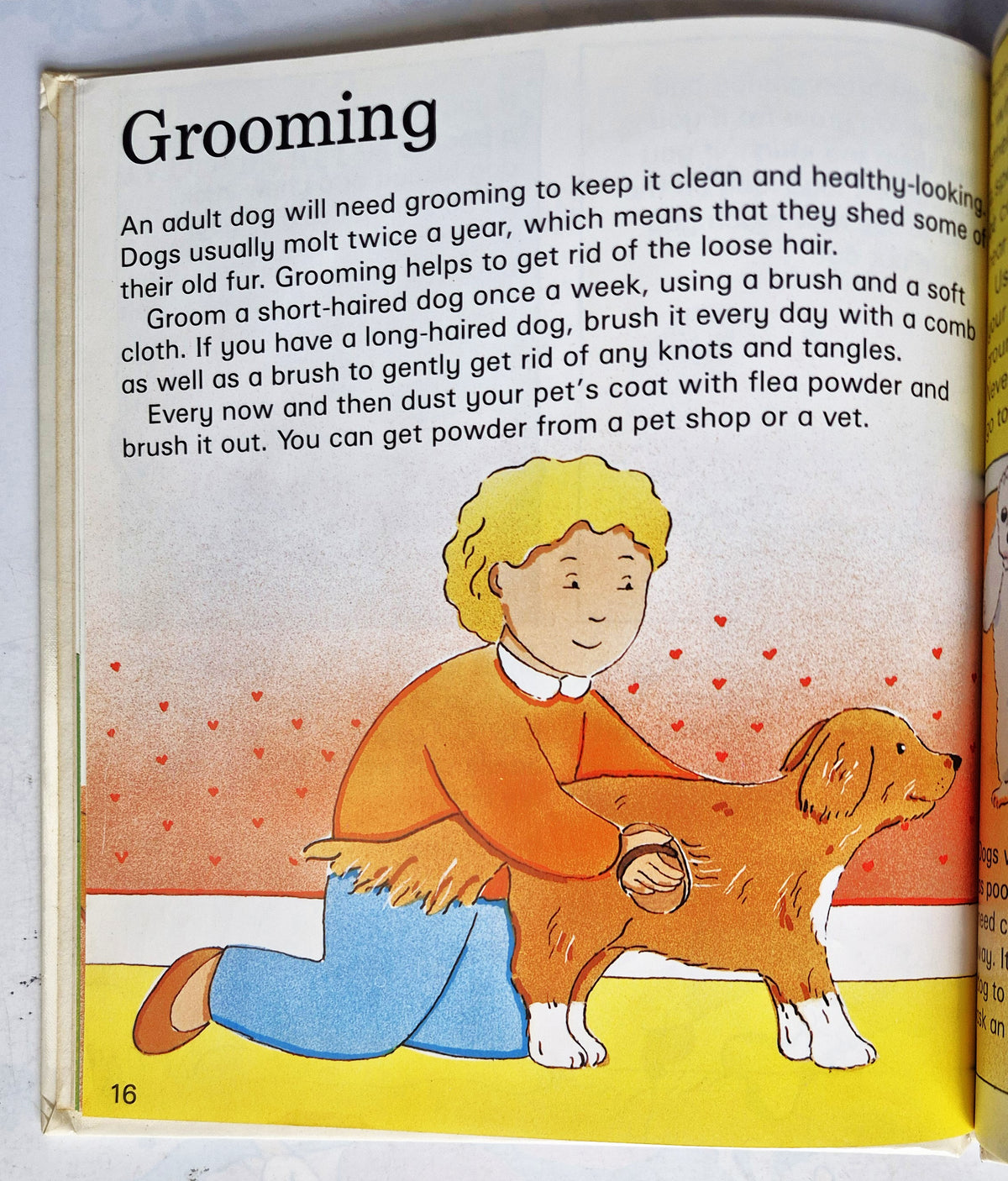 Dogs: A child's guide to caring for pets by Gerald and Julie Hawksley (Good, 1989, HC, 22 pgs, Children's Press)