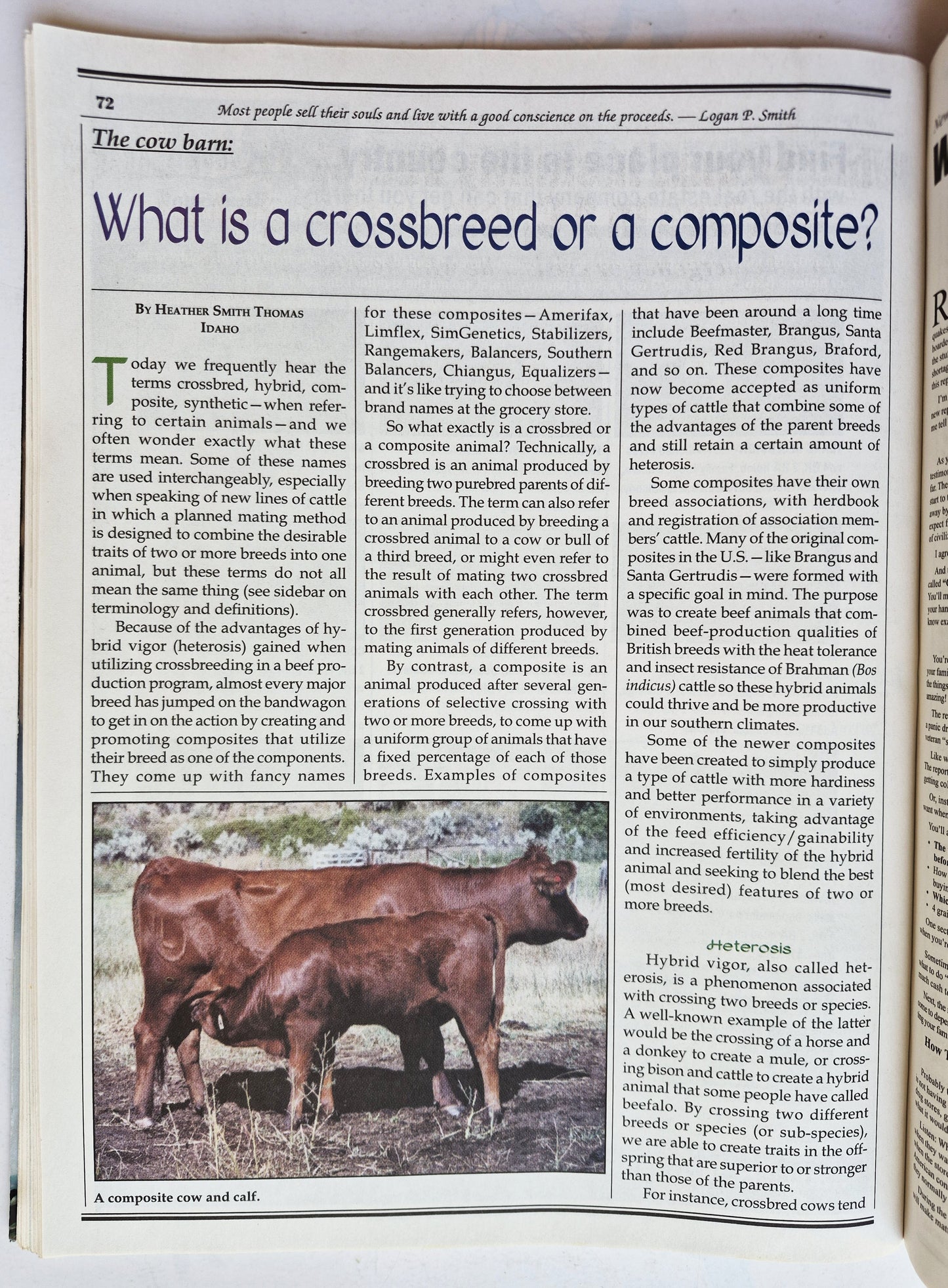 Countryside & Small Stock Journal Set: Volume 97 No. 1-4 Jan-Aug (2013, Very good)