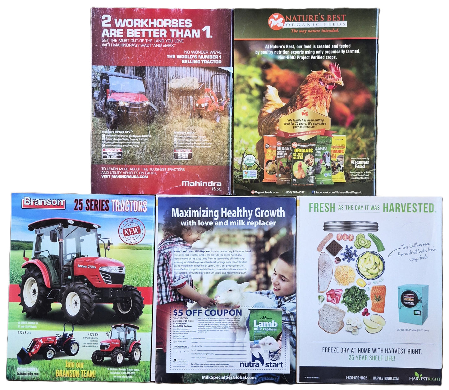 Countryside & Small Stock Journal Set: Volume 101 No. 1-5 Jan-Oct (2017, Very good)