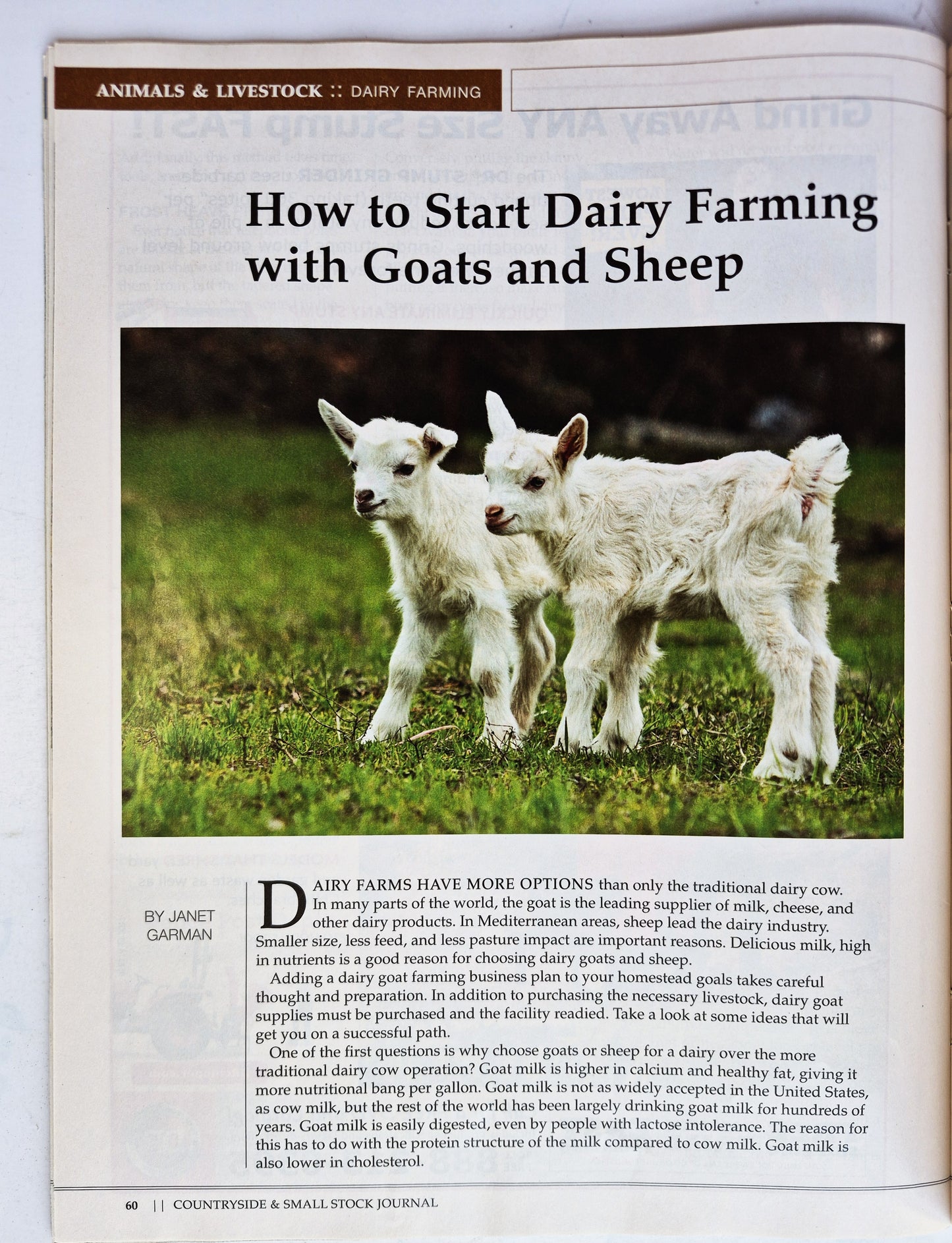 Countryside & Small Stock Journal Set: Volume 101 No. 1-5 Jan-Oct (2017, Very good)