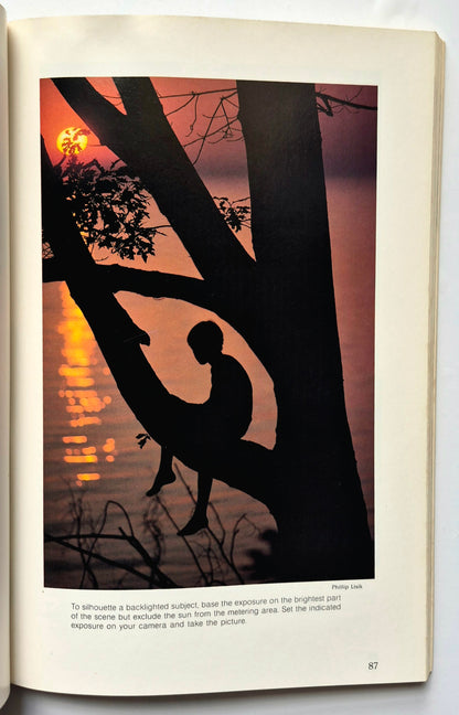 A Separate Peace por John Knowles (Muy buen estado, 1996, Tapa blanda, 204 páginas, Scribner)