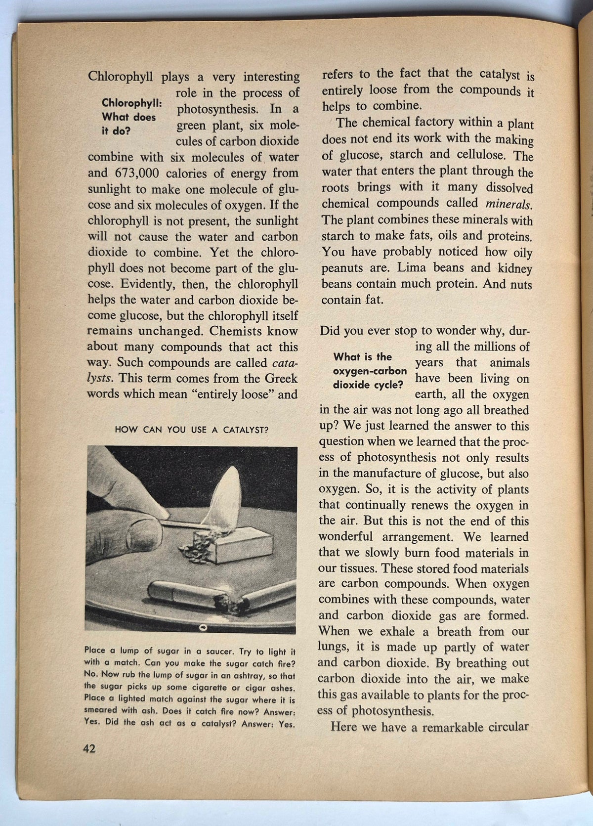 A Separate Peace por John Knowles (Muy buen estado, 1996, Tapa blanda, 204 páginas, Scribner)