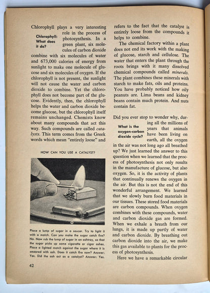 A Separate Peace por John Knowles (Muy buen estado, 1996, Tapa blanda, 204 páginas, Scribner)
