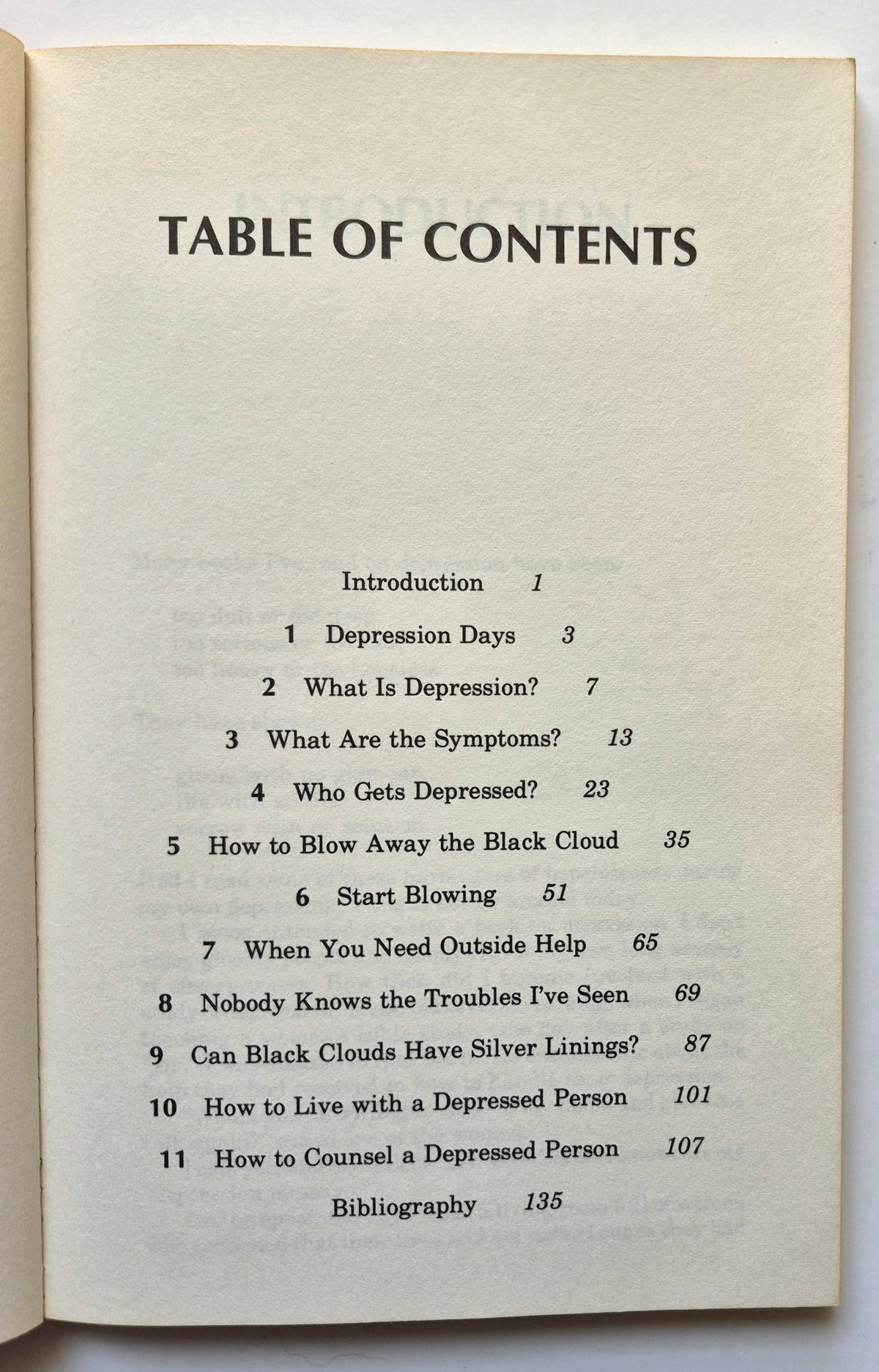 A Separate Peace por John Knowles (Muy buen estado, 1996, Tapa blanda, 204 páginas, Scribner)