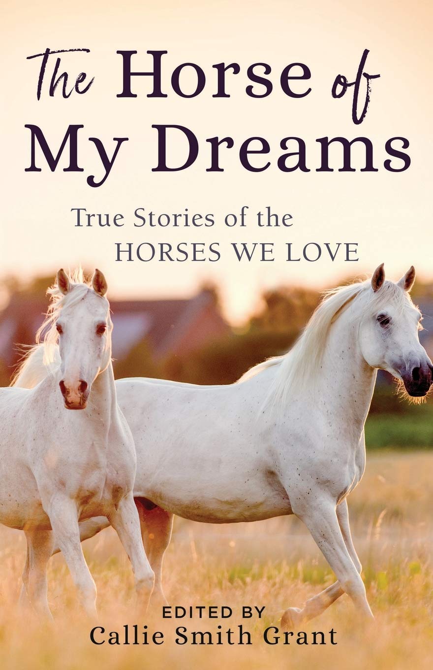 The Horse of My Dreams: True Stories of the Horses We Love by Callie Smith Grant (New, 2019, Pbk, 224 pgs, Revell)