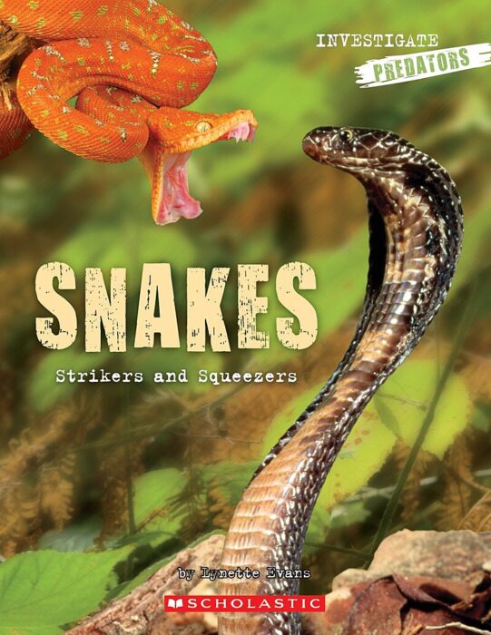 Investigate Predators: Snakes by Lynette Evans (Good, 2008, Pbk, Scholastic, 28 pgs)