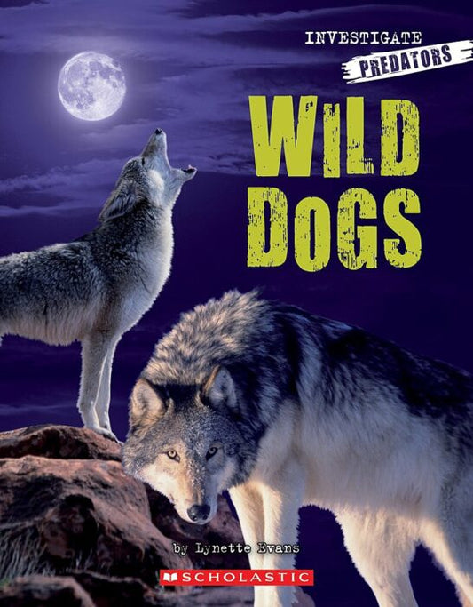 Investigate Predators: Wild Dogs by Lynette Evans (Good, Pbk, 2008, Scholastic, 28 pgs)