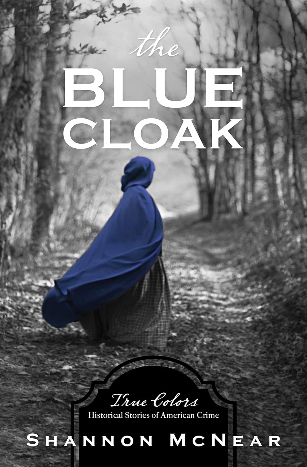 The Blue Cloak by Shannon McNear (True Colors, New, 2020, Pbk, 256 pgs, Barbour)