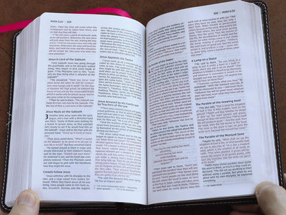 NIV Thinline Compact Bible (New, 2017, Leathersoft-Pink Chocolate, 1088 pgs, Zondervan)